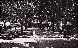Tlemcen 197- Monneret